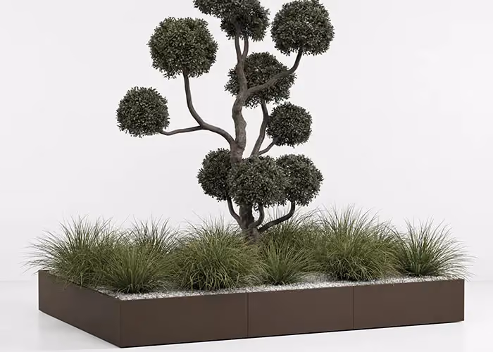 Modern modular bed with a corten effect, a sculpted ornamental tree and tufts of decorative grass, photographed on a minimal white ground.