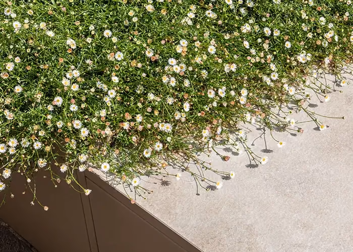 Detail of a modern bed with small trailing white flowers and a bronze-coloured modular structure.