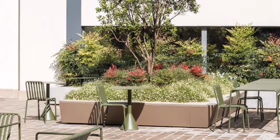 Low rectangular planters in pale metal edging an outdoor dining area with chairs and tables