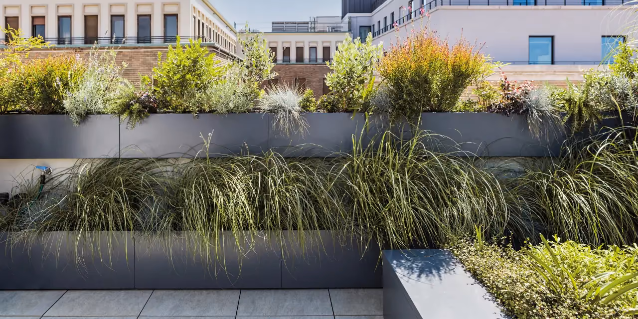 Long grey rectangular planter of ornamental grasses on a city terrace