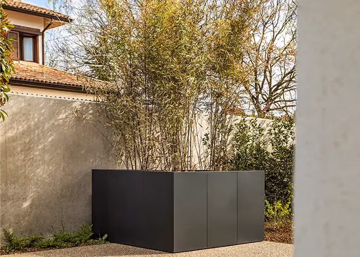 Large grey modular planter in an outdoor courtyard, filled with tall bamboo.