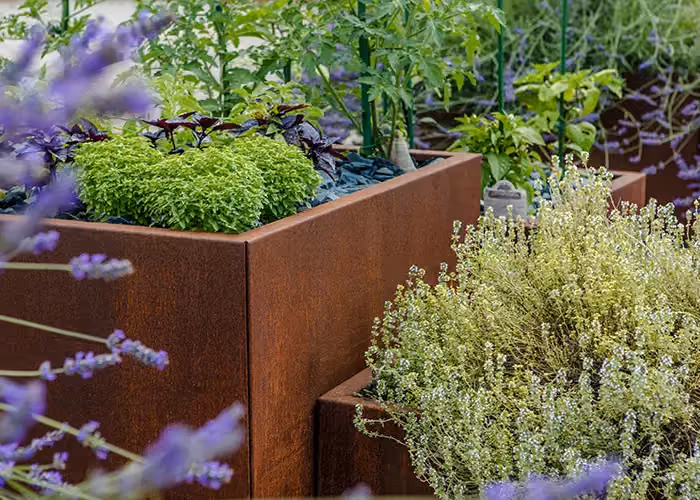 Dettaglio ravvicinato di fioriere modulari effetto corten con piante aromatiche e vegetazione ornamentale colorata.
