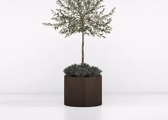 Fioriera rotonda moderna effetto corten con piccolo albero ornamentale e vegetazione decorativa, fotografata su sfondo bianco minimalista.