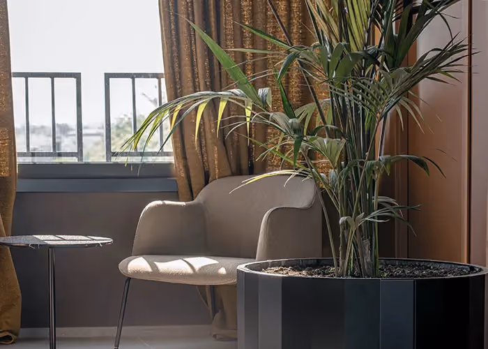 Angolo lounge elegante con poltrona beige, tavolino e grande fioriera cilindrica nera contenente una palma ornamentale.