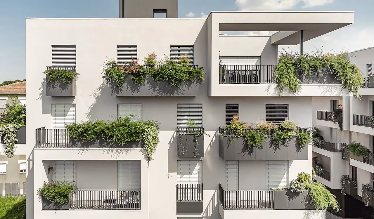 Façade of a white building with shuttered windows and geometric balconies with black railings and dark grey rectangular planters full of climbing plants.
